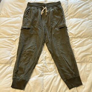 Aerie skinny cargo pants